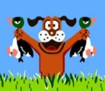 Duck Hunt